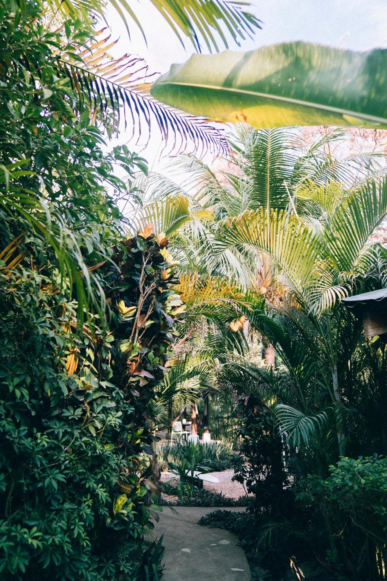 Shaka Costa Rica, Steps From The Beach Hotel Playa Hermosa Cobano Exterior foto